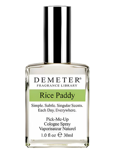 Rice Paddy