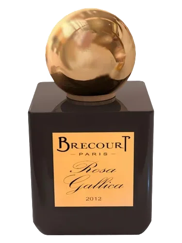 Rosa Gallica by Brecourt