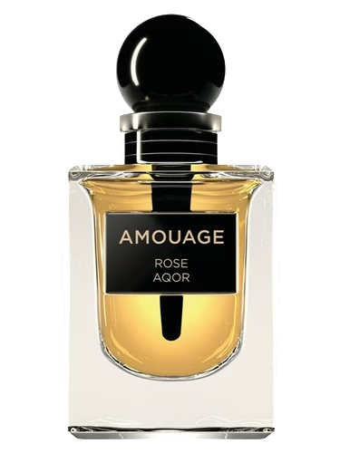 Rose Aqor