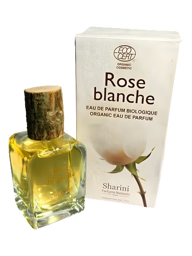 Rose Blanche