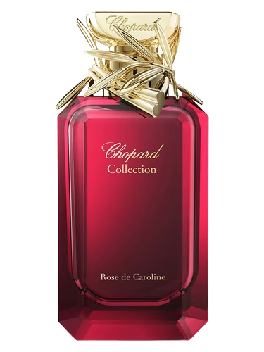 Rose de Caroline