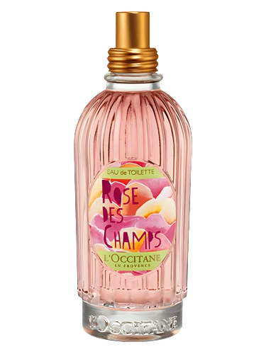 Rose des Champs