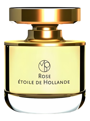 Rose Etoile de Hollande