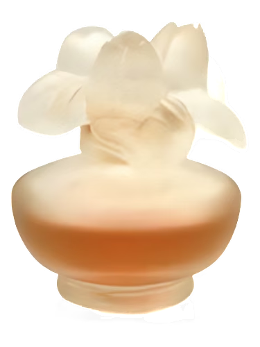 Rose Nuage