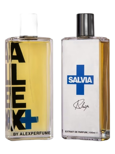 Salvia+