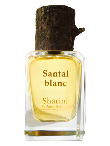 Santal Blanc