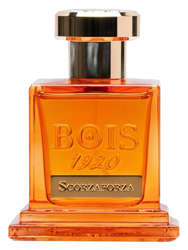Scorzaforza