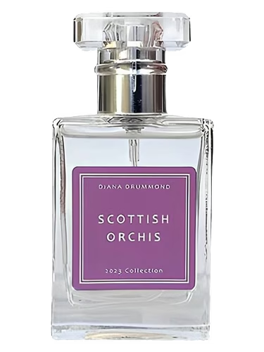 Scottish Orchis
