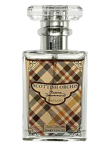 Scottish Orchis Classic