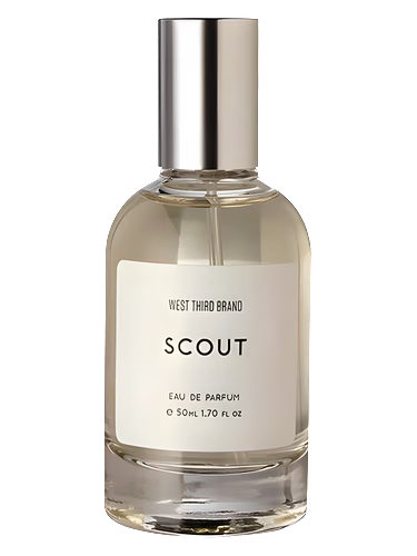 Scout