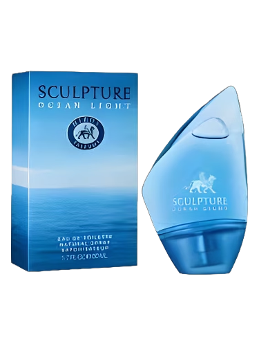 Sculpture Ocean Light