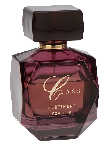 Sentiment by Class