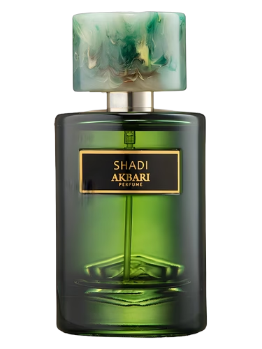 Shadi by Akbari