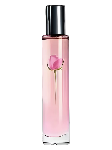 Sheer Rose