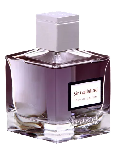 Sir Gallahad by Isabey