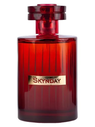 Skynday
