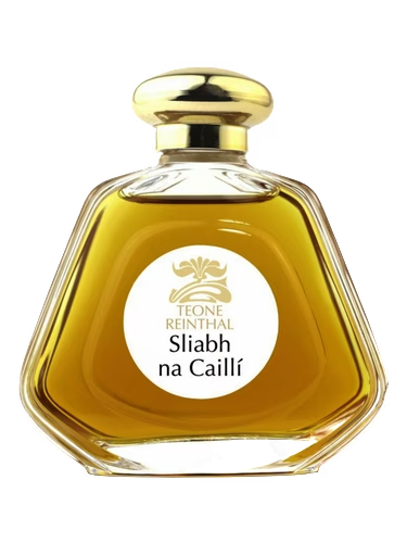 Sliabh na Cailli