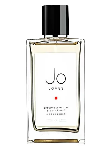 Smoked Plum & Leather by Jo Loves