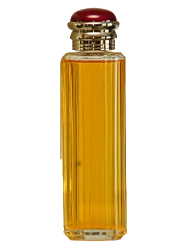 Society by Burberry