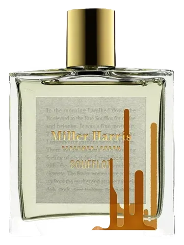 Soufflot by Miller Harris