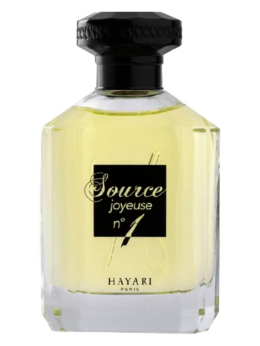 Source Joyeuse No1
