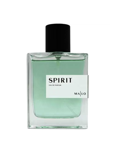 Spirit