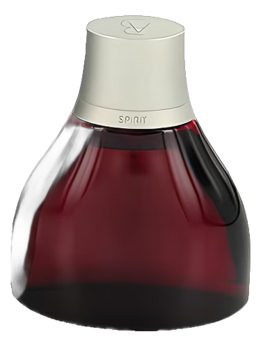 Spirit for Men