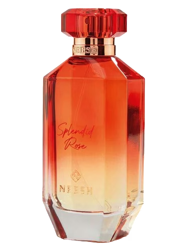 Splendid Rose