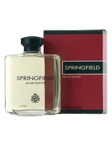 Springfield by Antonio Puig