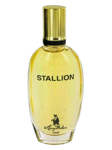 Stallion
