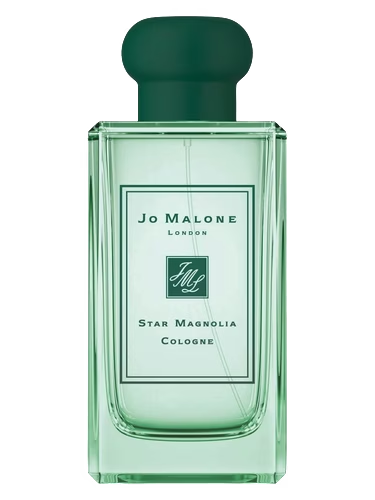 Star Magnolia Cologne (2019)