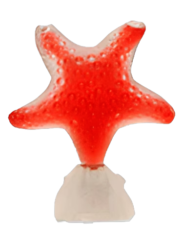 Star Red Pasion