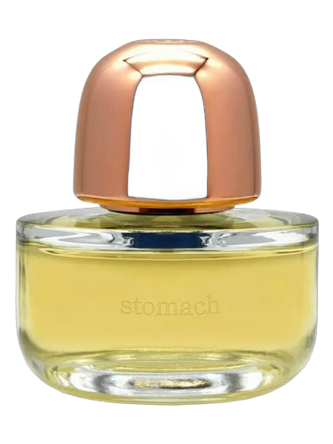 Stomach