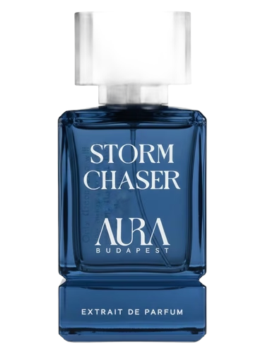 Storm Chaser by Aura Budapest