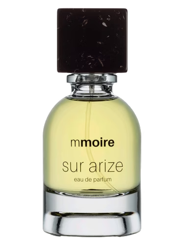 Sur Arize