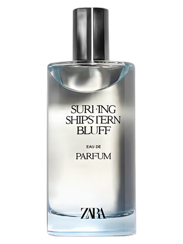 Surfing Shipstern Bluff