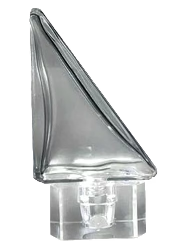 Surhomme Transparent