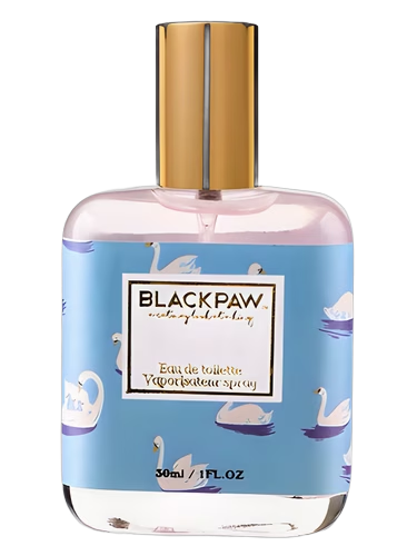 Swan by Black Paw