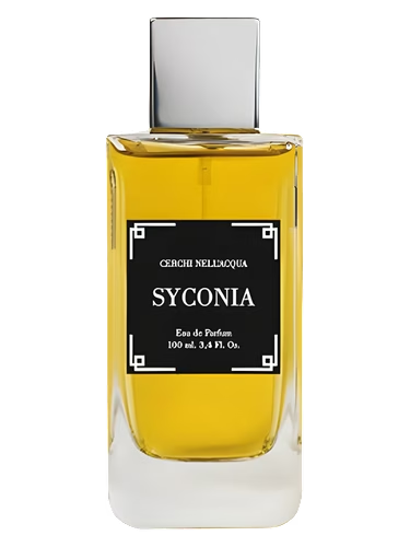 Syconia