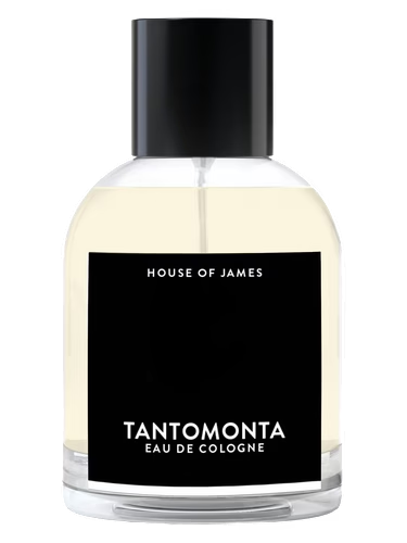 Tantomonta