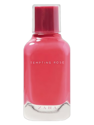 Tempting Rose by Zara