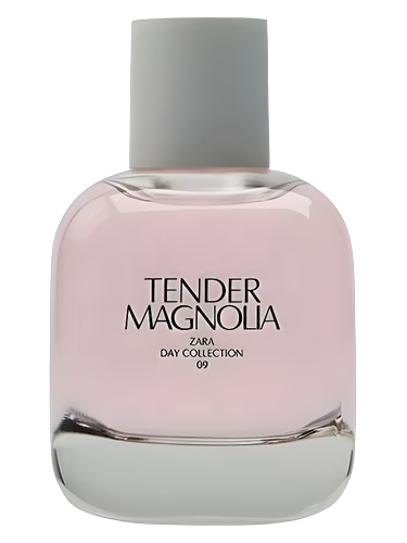 Tender Magnolia