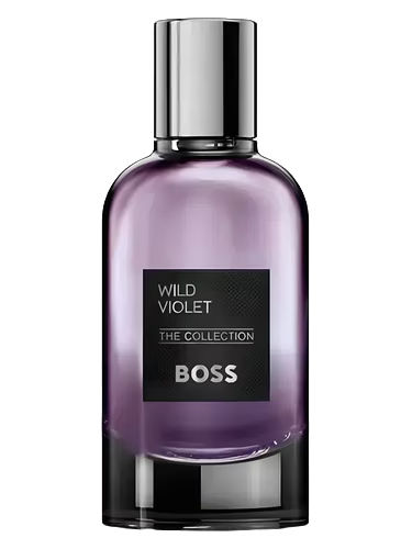 The Collection Wild Violet