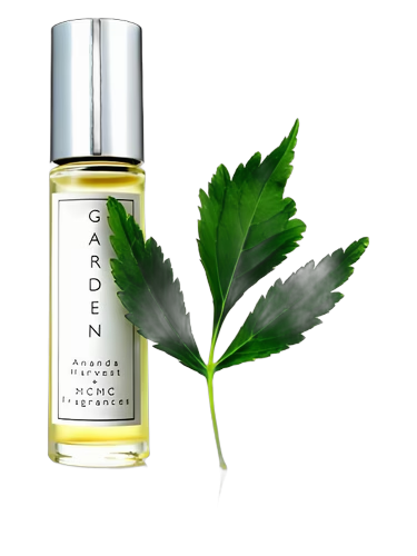 The Garden by MCMC Fragrances