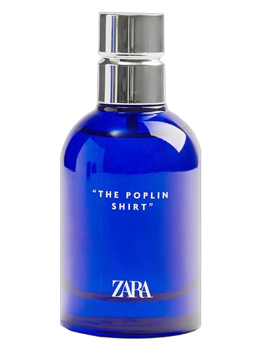 The Poplin Shirt