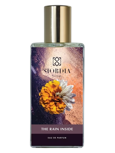 The Rain Inside