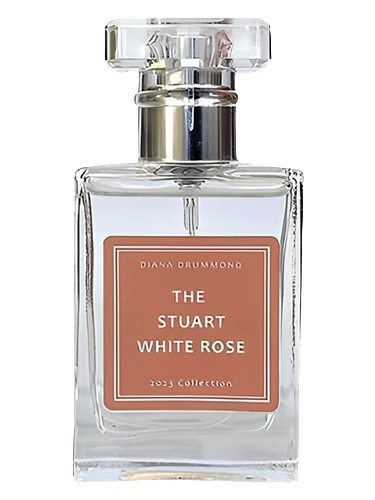 The Stuart White Rose