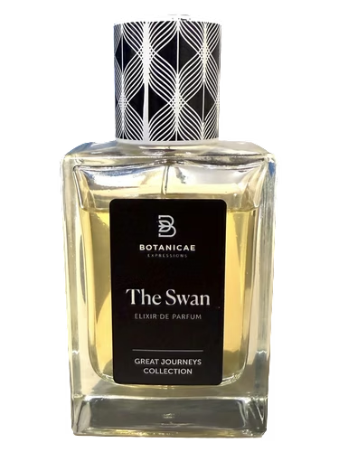 The Swan