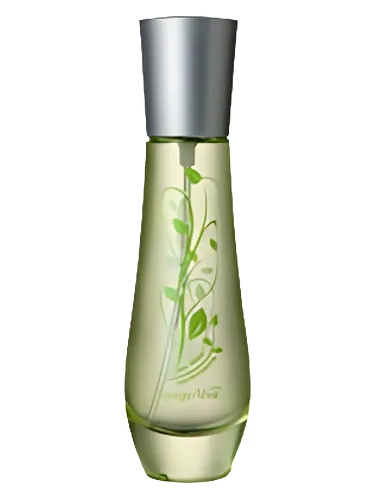 The Verde by Bottega Verde