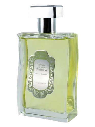 The Vert Gingembre by La Sultane de Saba